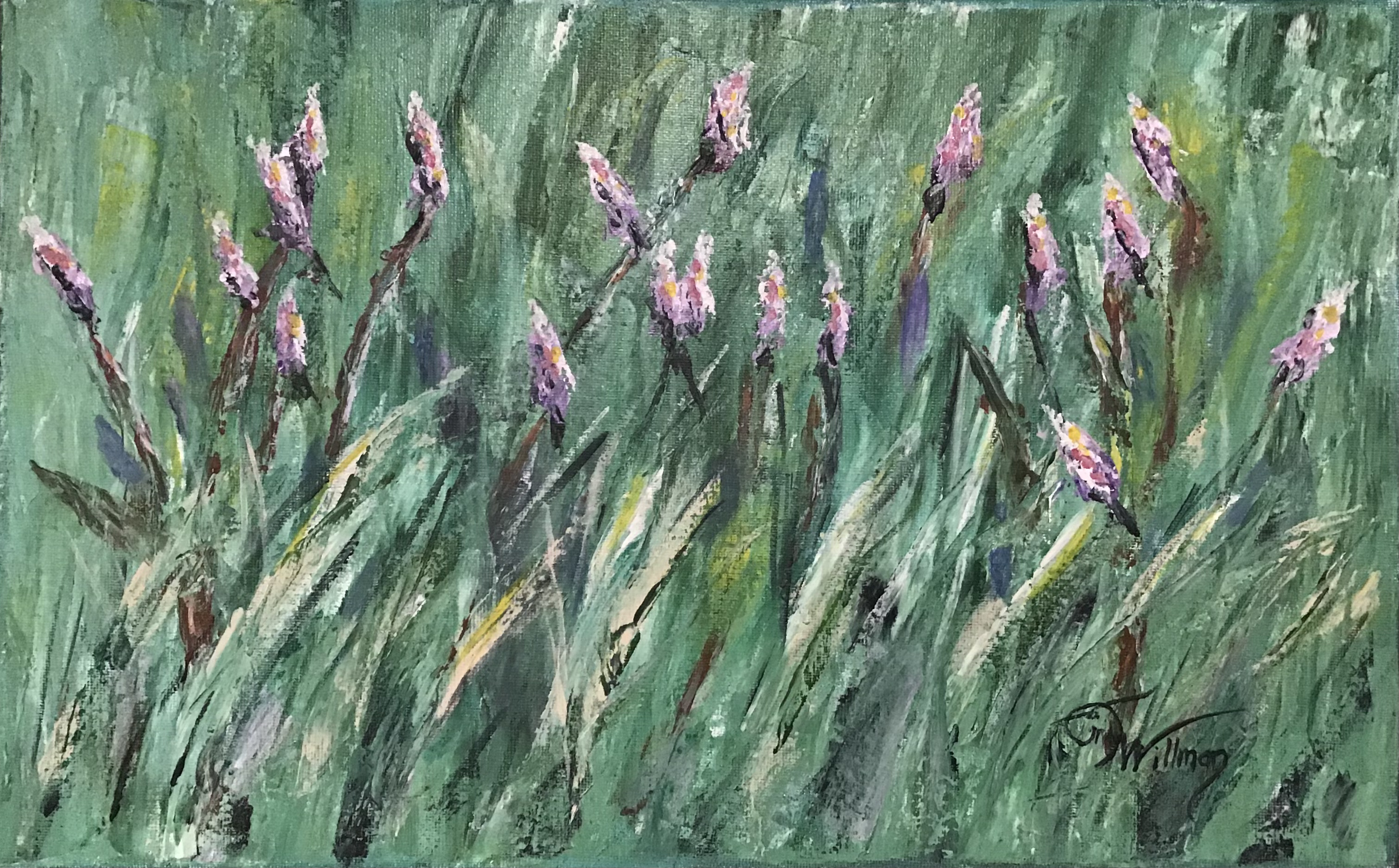 lavender fields