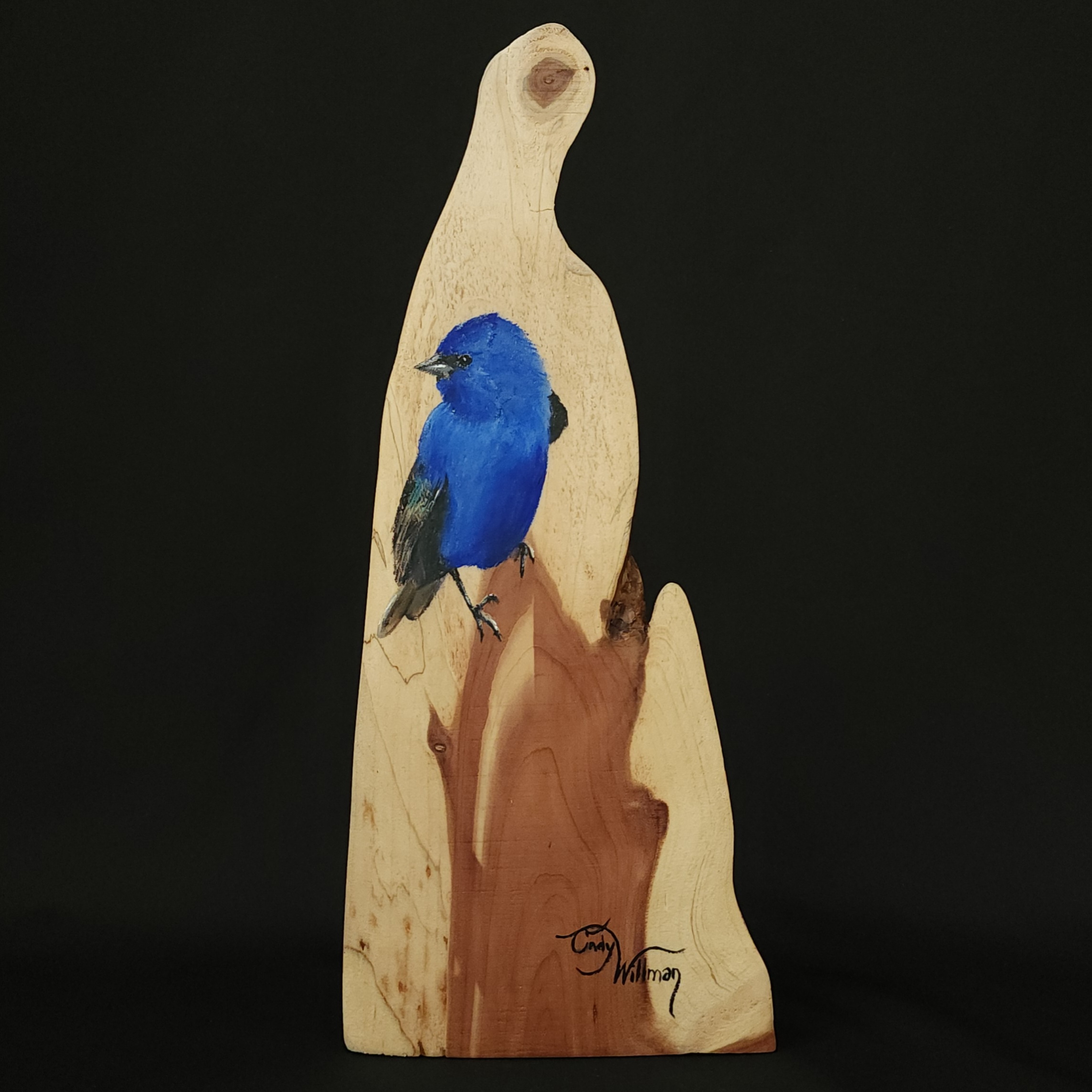 indigo bunting