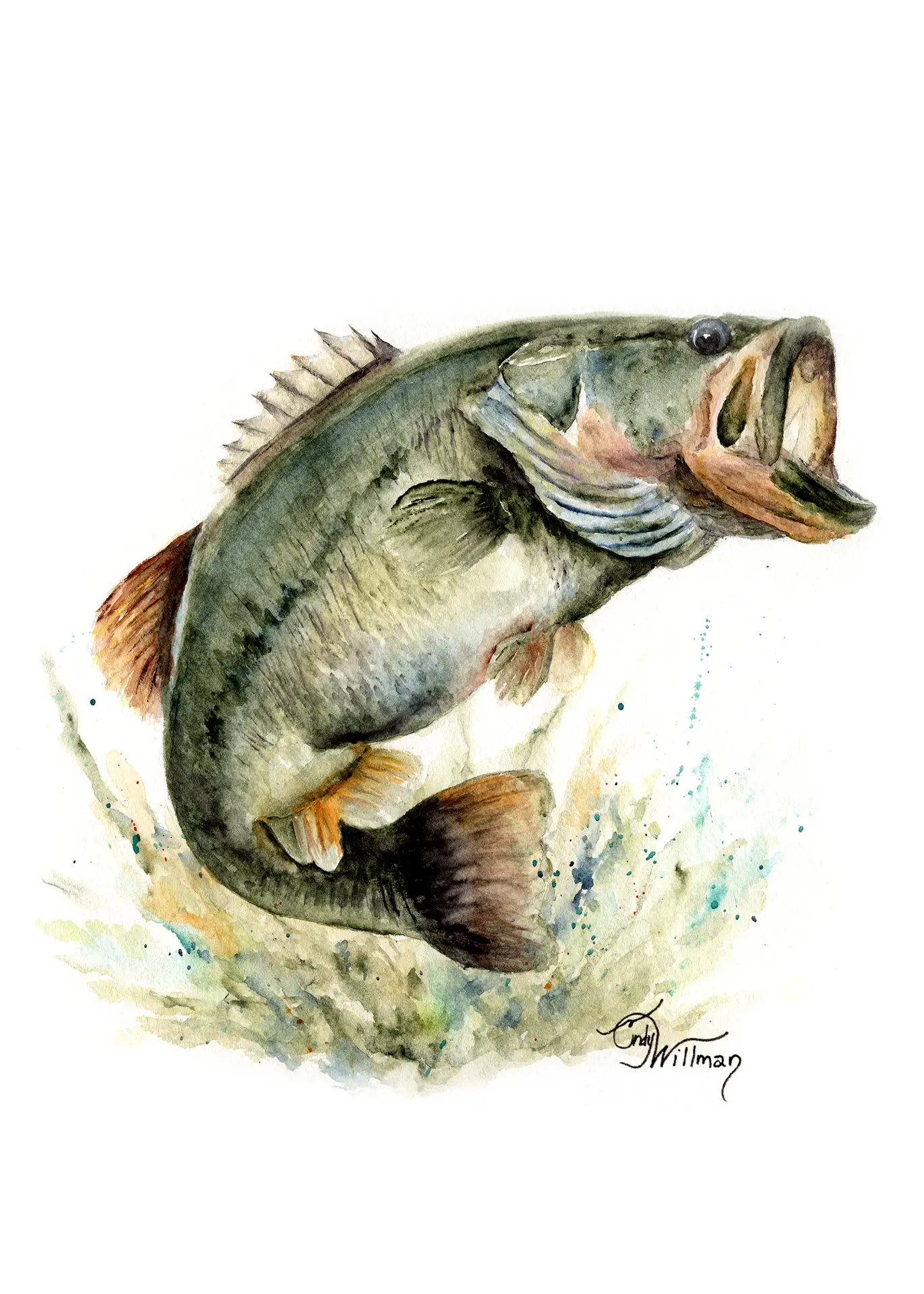 FS1002 - Largemouth Bass