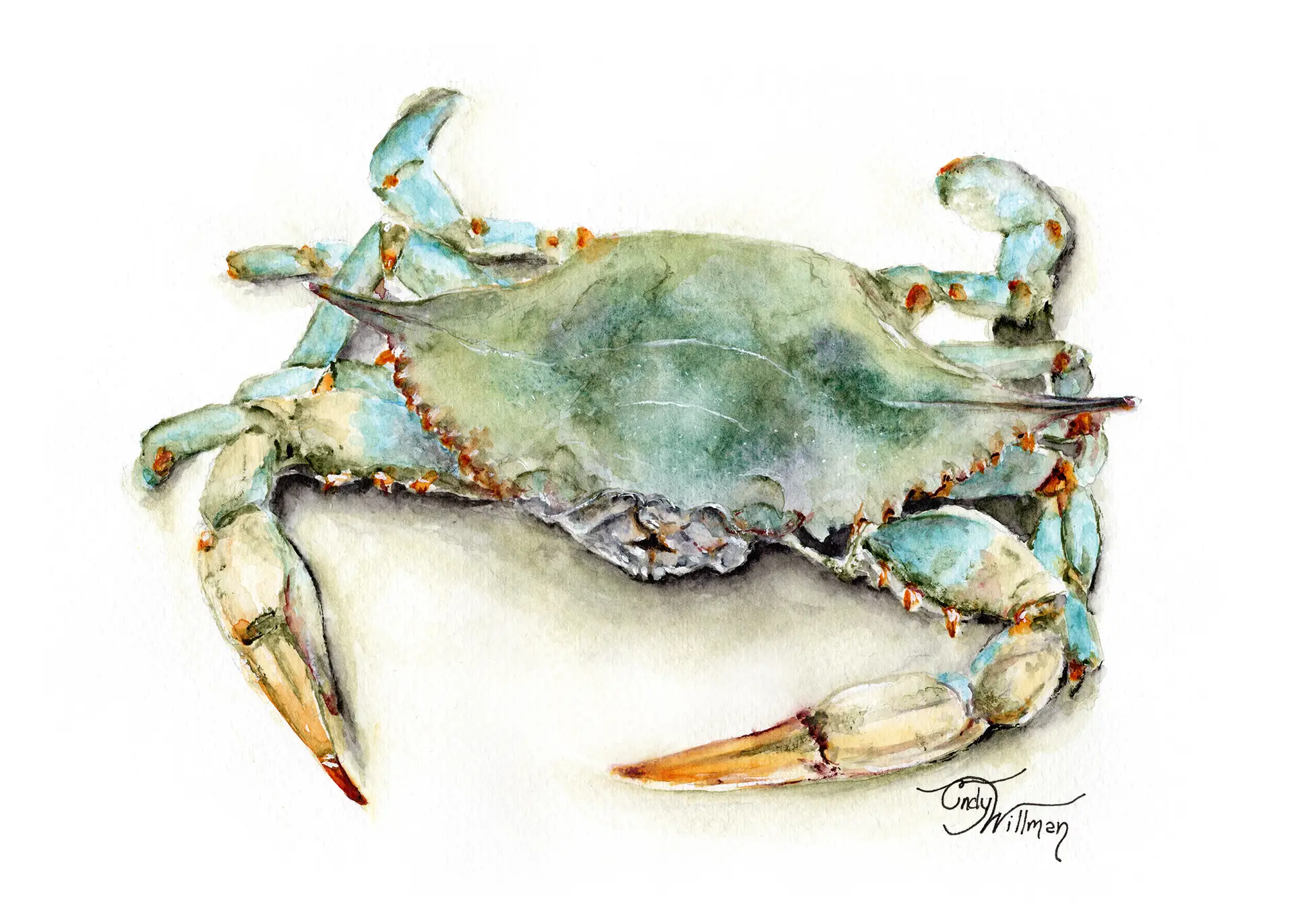 ML1007 - Blue Crab