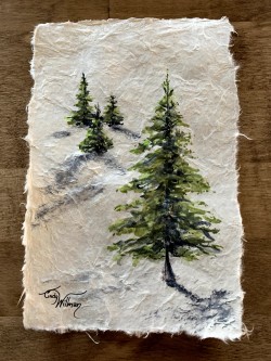 evergreens evergreens