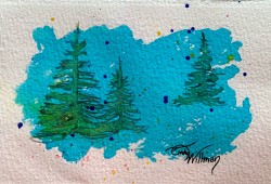 evergreens evergreens