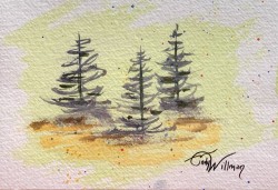 evergreens evergreens