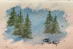 evergreens evergreens