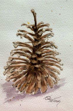 pine cone pine cone