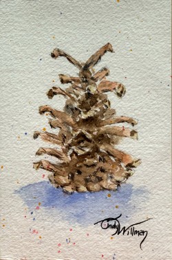 pine cone pine cone
