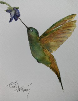 hummingbird hummingbird