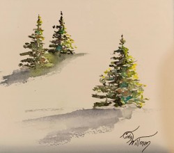 evergreens evergreens