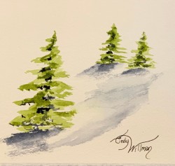 evergreens evergreens