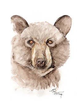 WL1002 - Grizzly Bear WL1002 - Grizzly Bear