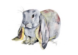 WC1005 - Dust Bunny WC1005 - Dust Bunny