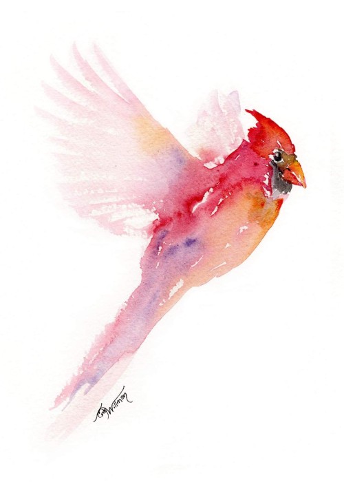 BI1001 - Northern Cardinal BI1001 - Northern Cardinal