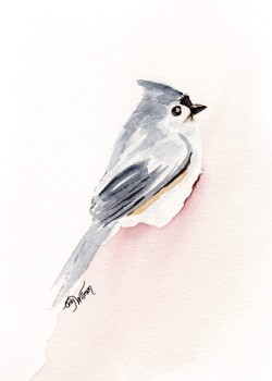 BI1002 - Tufted Titmouse BI1002 - Tufted Titmouse