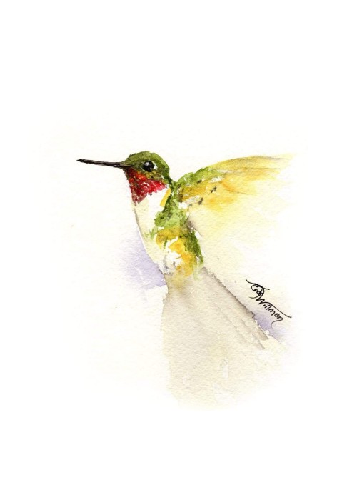 BI1009 - Ruby-throated Hummingbird BI1009 - Ruby-throated Hummingbird