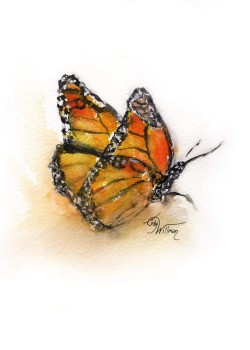 BU1001 - Monarch BU1001 - Monarch