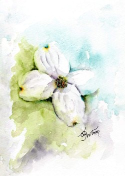 FL1001 - Dogwood Blossom FL1001 - Dogwood Blossom