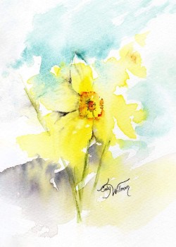 FL1002 - Daffodils FL1002 - Daffodils