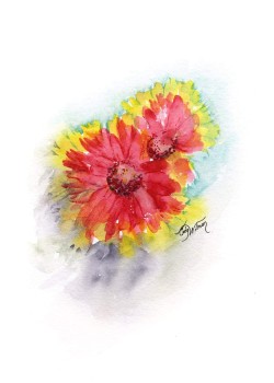 FL1003 - Firewheel FL1003 - Firewheel