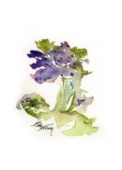 FL1010 - Violettes FL1010 - Violettes