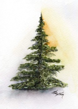 TR1003 - For-Evergreen TR1003 - For-Evergreen