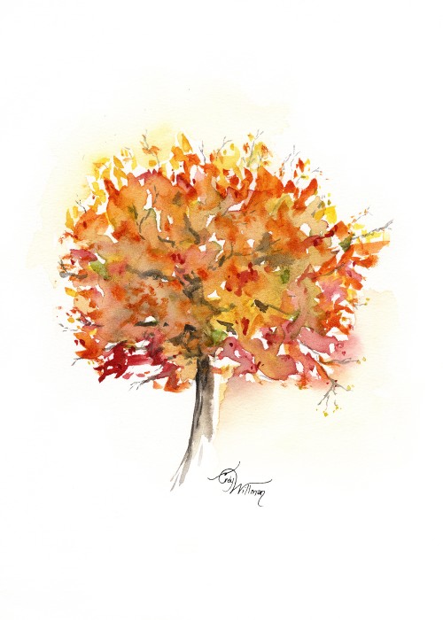 TR1004 - Fall Tree TR1004 - Fall Tree