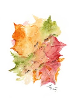 TR1005 - Fall Leaves TR1005 - Fall Leaves