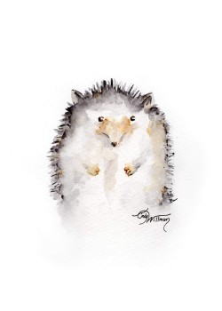 WC1003 - Floyd the Hedgehog WC1003 - Floyd the Hedgehog