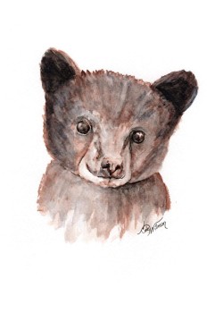 WC1004 - Barry the Bear WC1004 - Barry the Bear