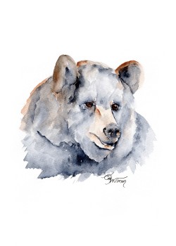 WL1001 - American Black Bear WL1001 - American Black Bear