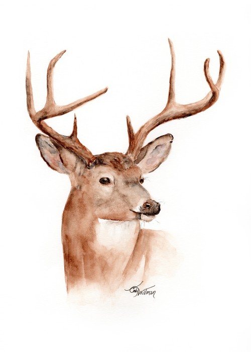 WL1004 - White-tailed Buck WL1004 - White-tailed Buck