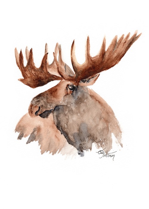 WL1006 - Moose WL1006 - Moose