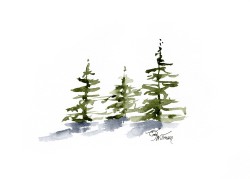 TR1007 - Ever Simplicity TR1007 - Ever Simplicity