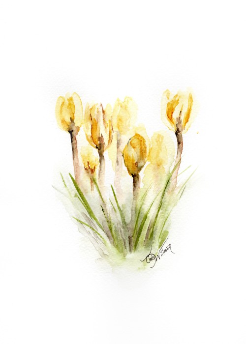 FL1014 - Crocus FL1014 - Crocus