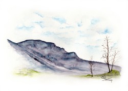 LN1001 - Grandfather Mountain LN1001 - Grandfather Mountain