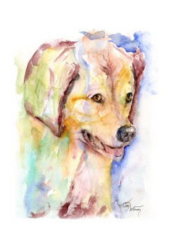 PT1001 - Katie Laurë PT1001 - Katie Laurë