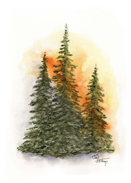 TR1009 - Evergreen Trio TR1009 - Evergreen Trio