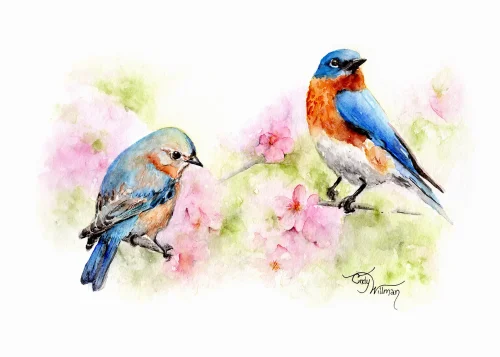 BI1013 - Eastern Bluebirds BI1013 - Eastern Bluebirds